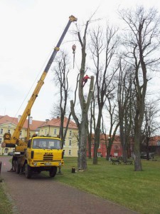 rizikové kácení s jeřábem